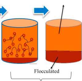 فلوکولانت در تصفیه آب